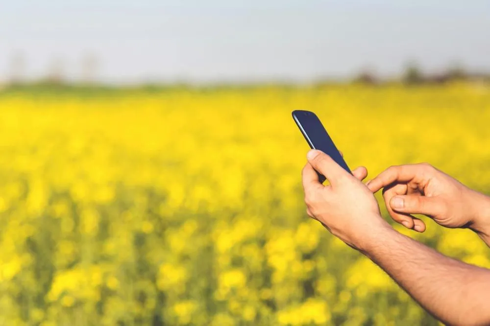 Agtech desembarca no Brasil com IA avançada e modelos focados no agro